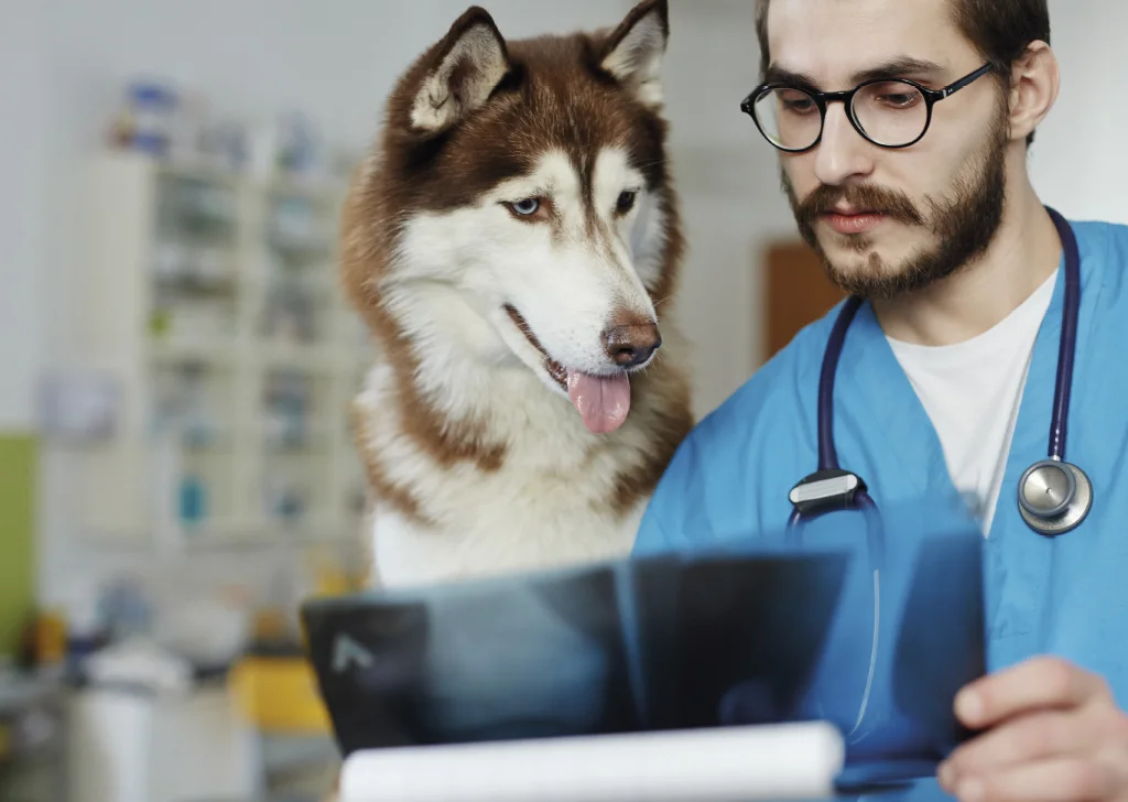 CONSULTA VETERINARIA TERRASSA